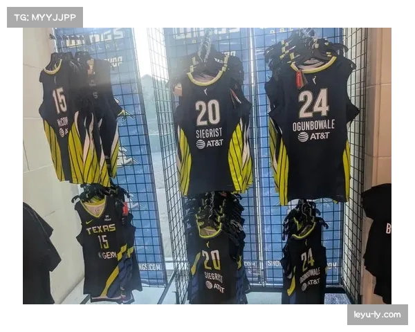 达拉斯飞翼队新主场建设获批，预计2028赛季投入使用